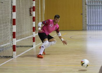 guille-vela